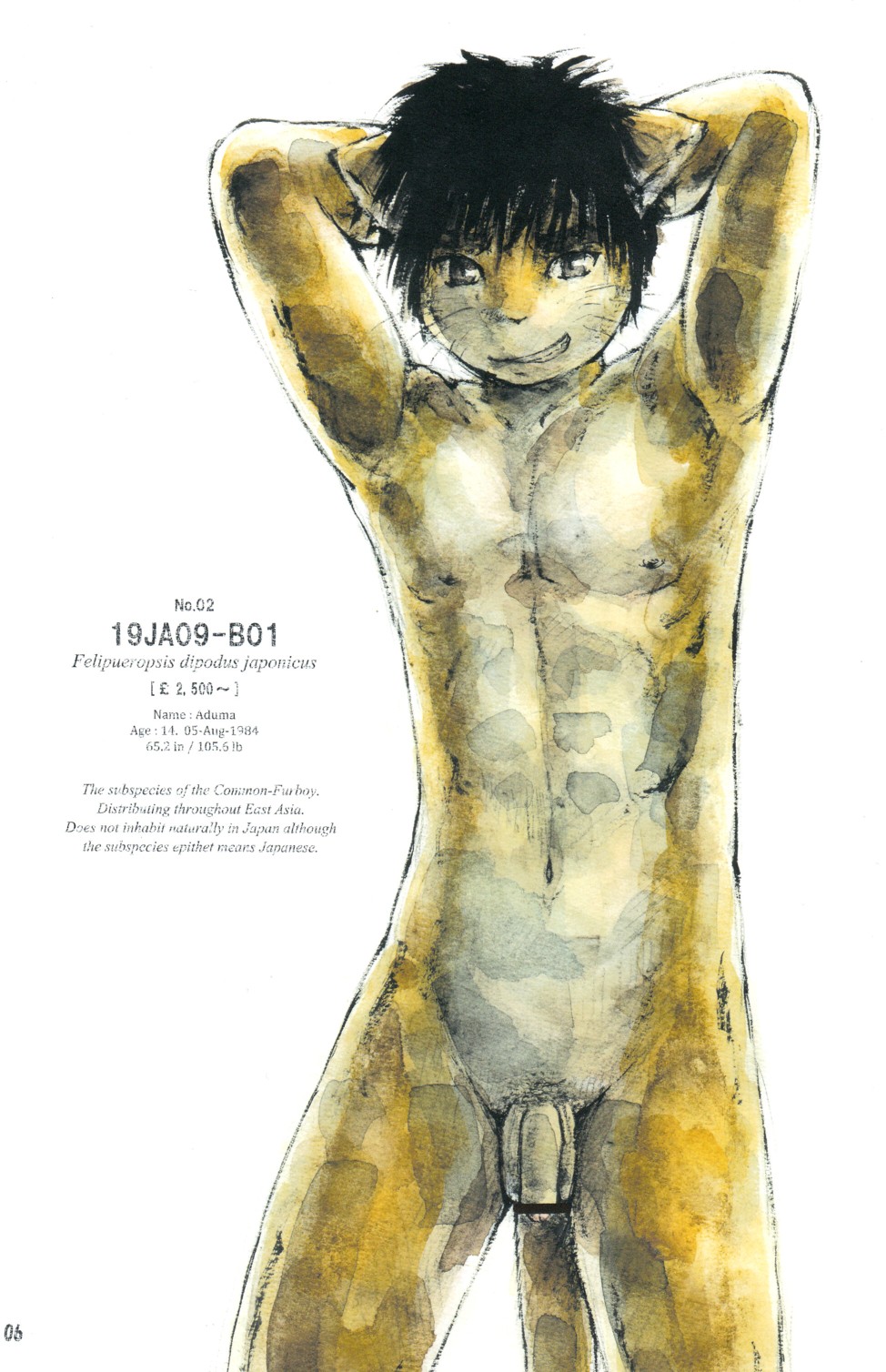 Matsumi Yuu - The Catalogue of 20 Furboys page 6 full