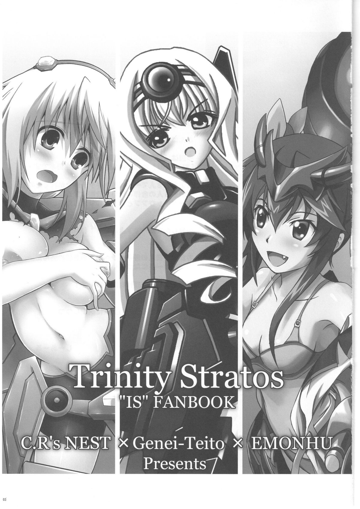Trinity Stratos page 3 full