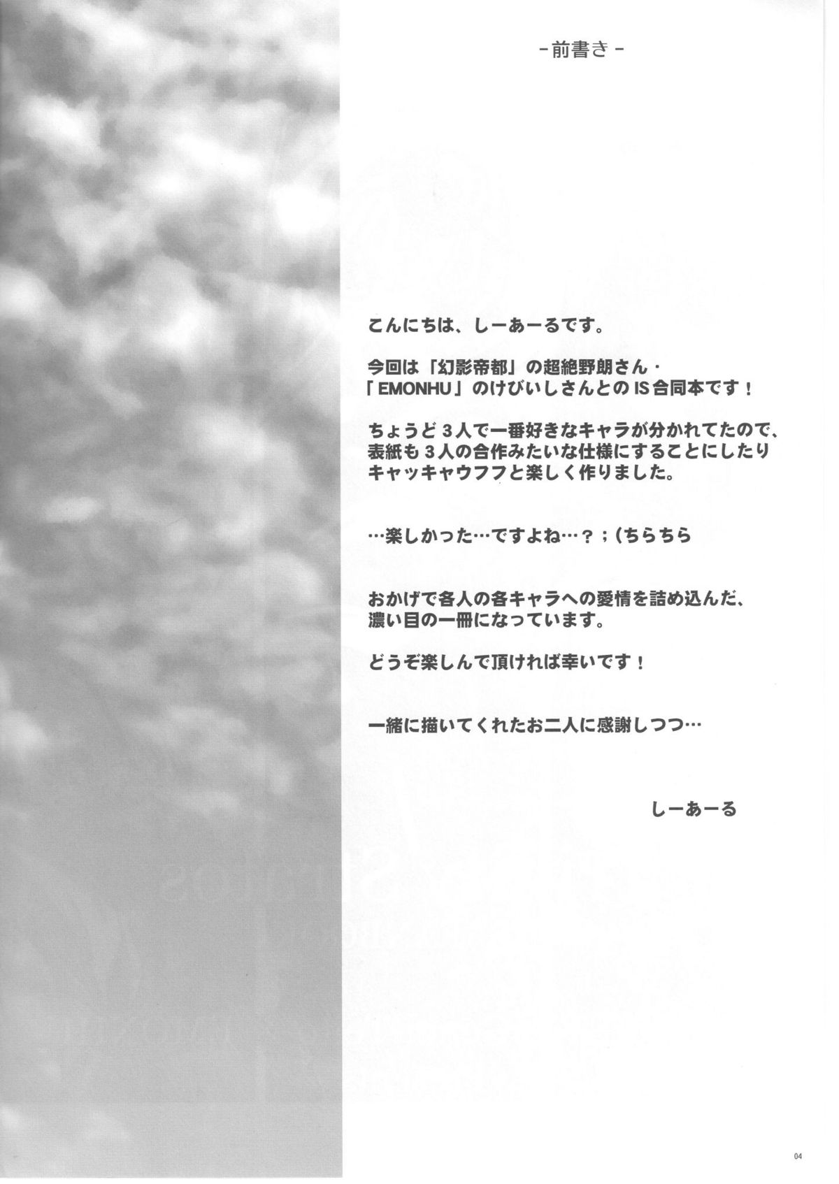 Trinity Stratos page 4 full