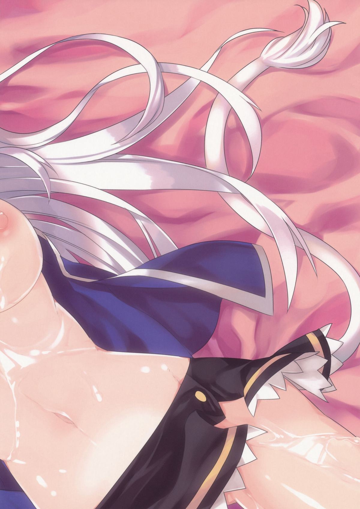 Hatsujou! Neko Hime Choukyou Sen!? page 2 full