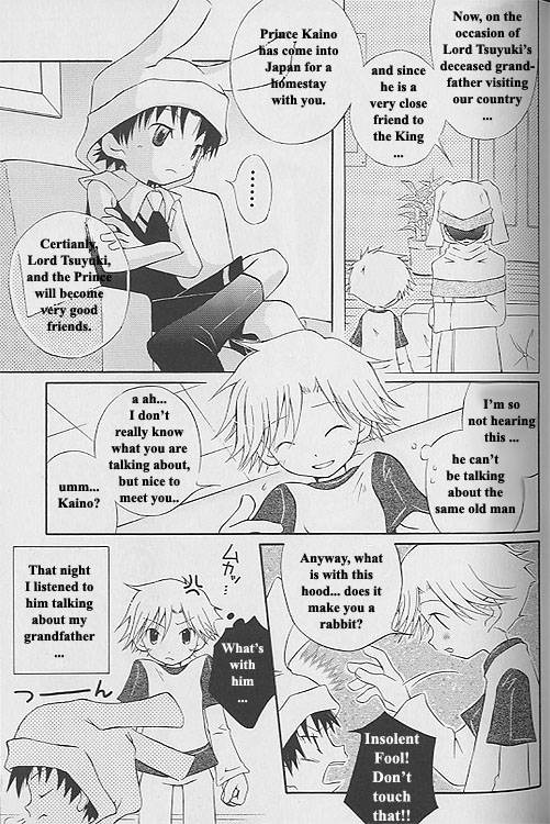 Usagi oji no oyome-sama | Prince Rabbit's Bride page 3 full