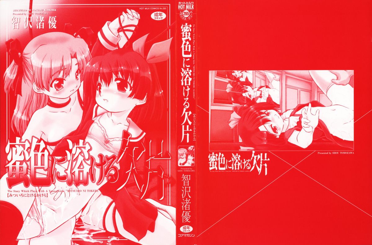 Mitsuiro Ni Tokeru Kakera page 4 full