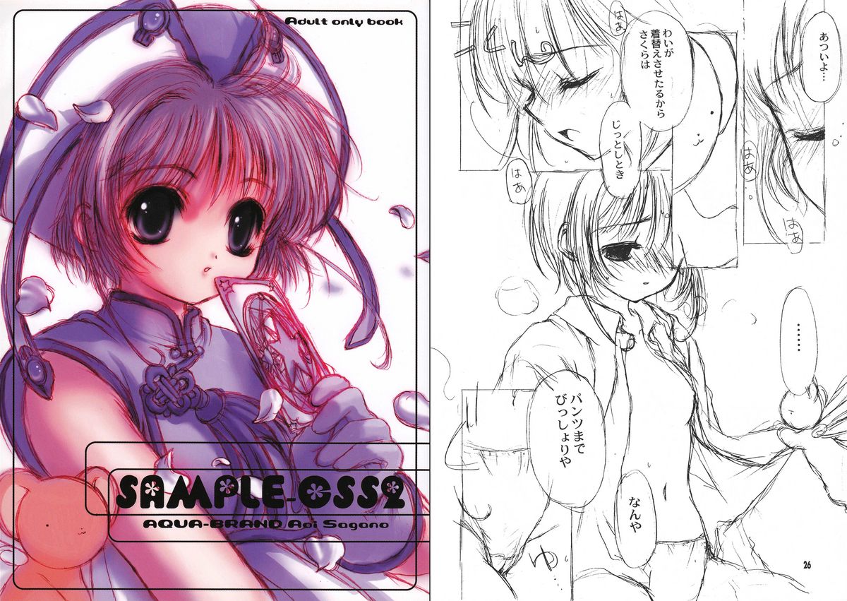 - SAMPLE-CSS2 page 1 full