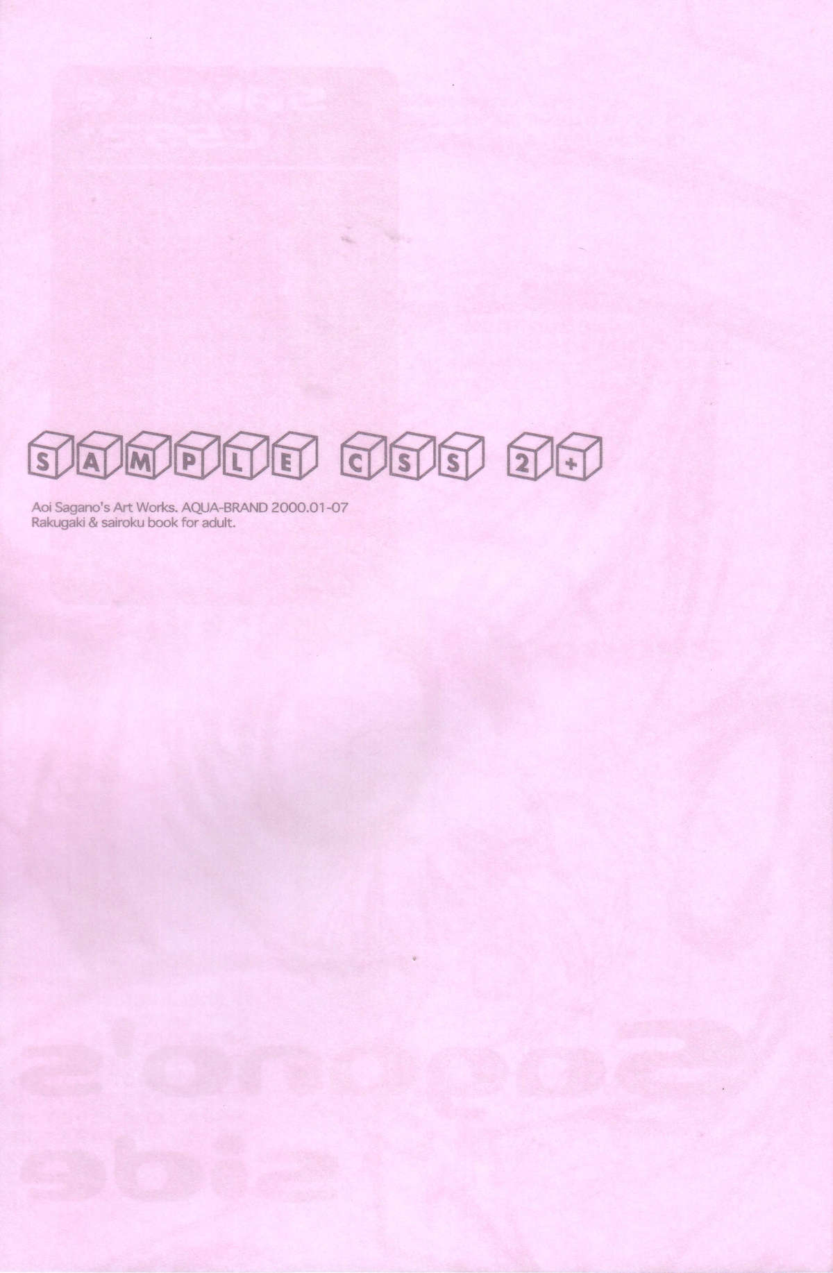 - SAMPLE-CSS2 page 3 full