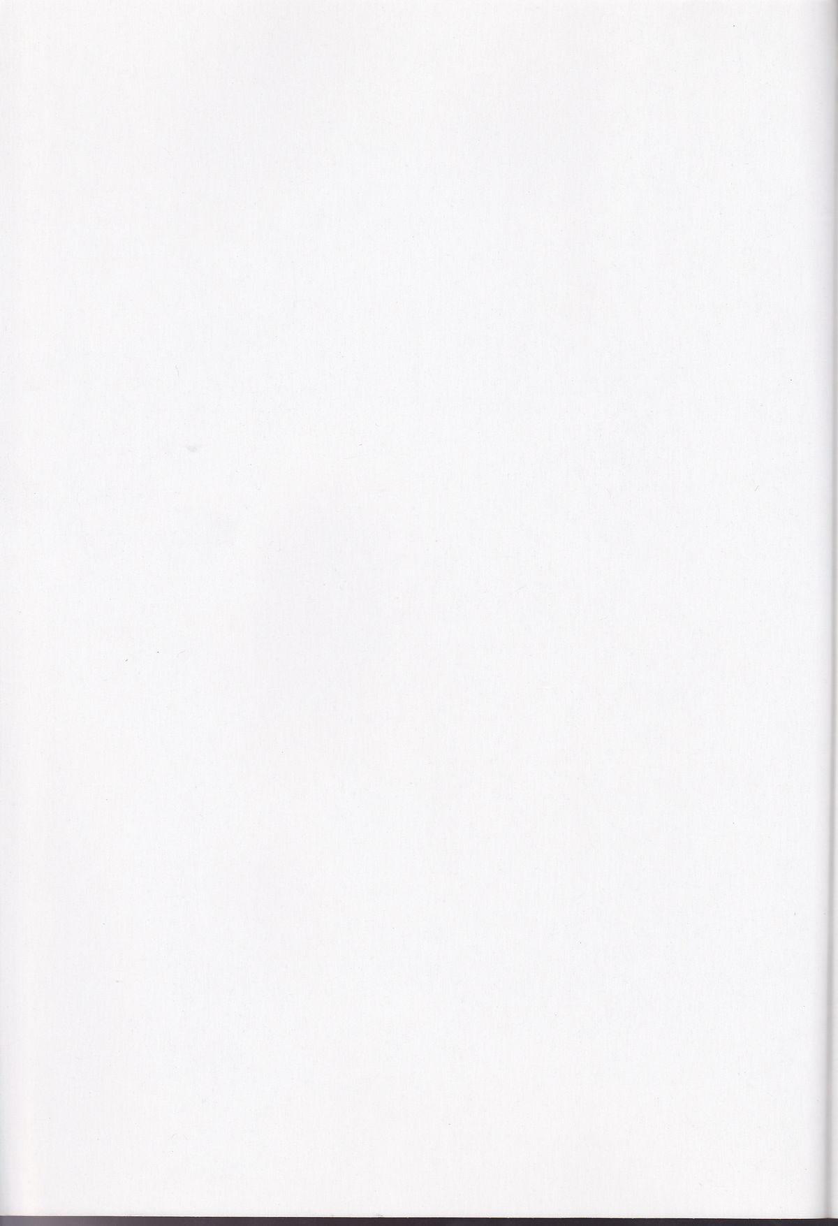 PROMETTITORE page 2 full