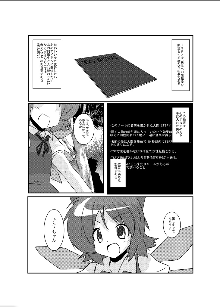 Touhou TS Monogatari ~Cirno hen~ page 5 full