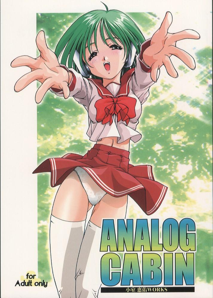 Analog Cabin page 1 full