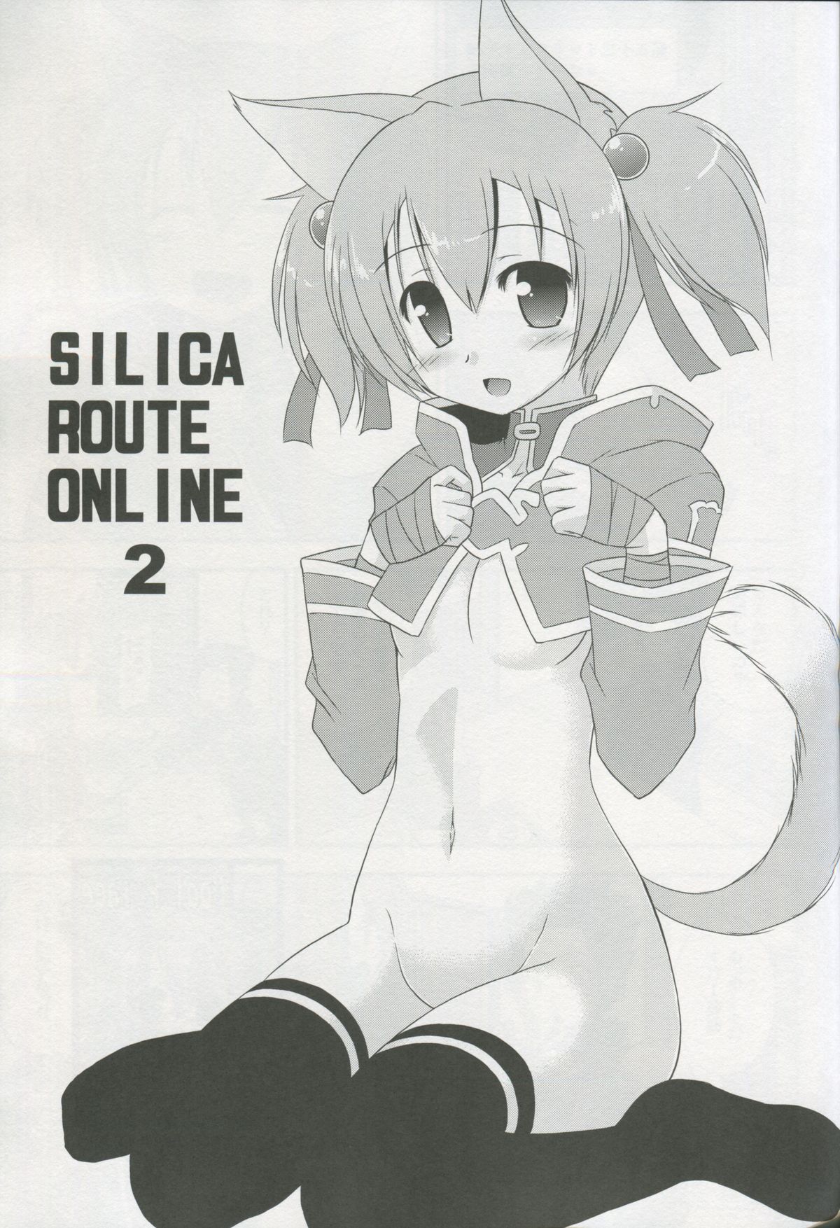 Silica Route Online 2 page 2 full