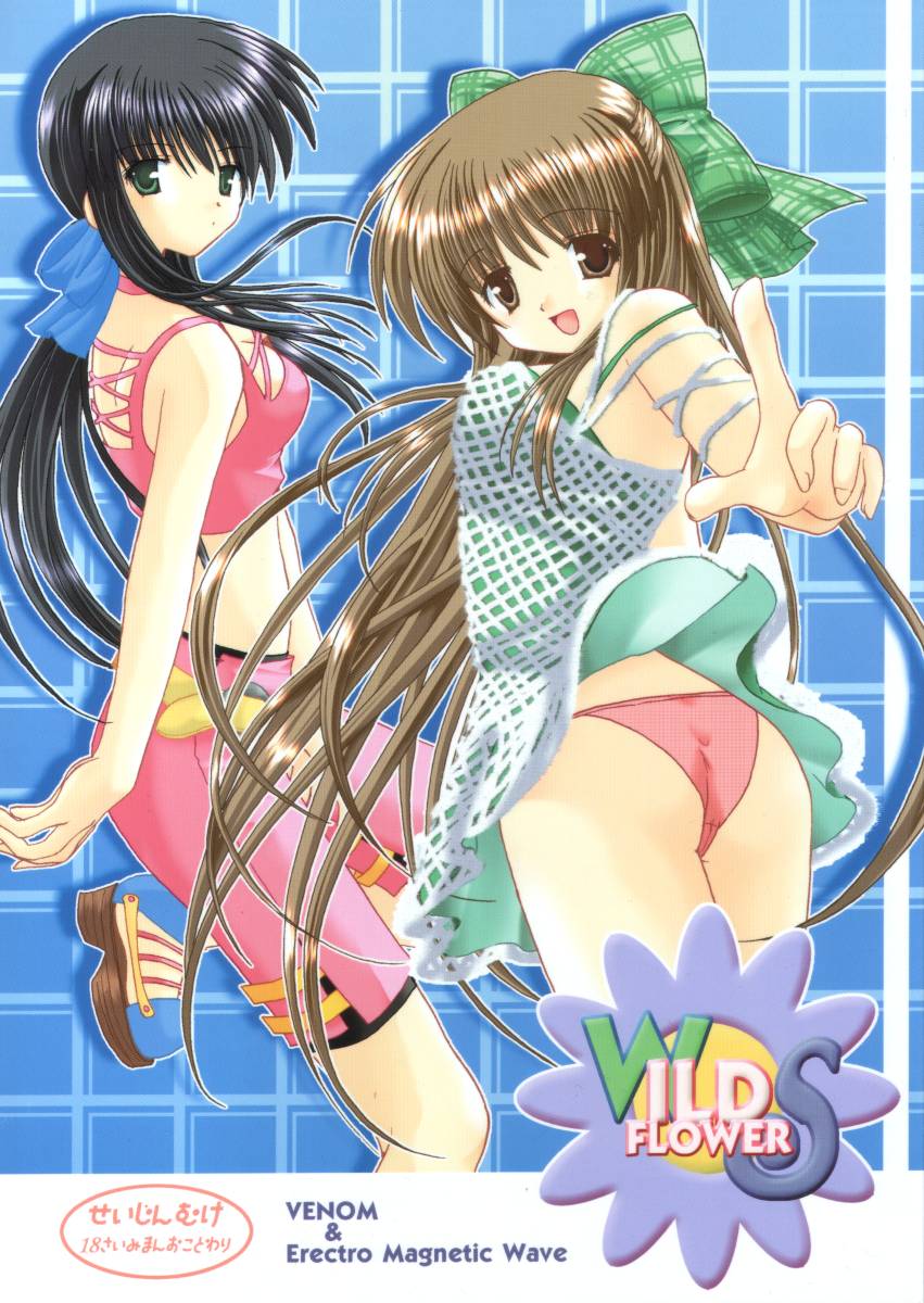 WILD FLOWERS page 1 full