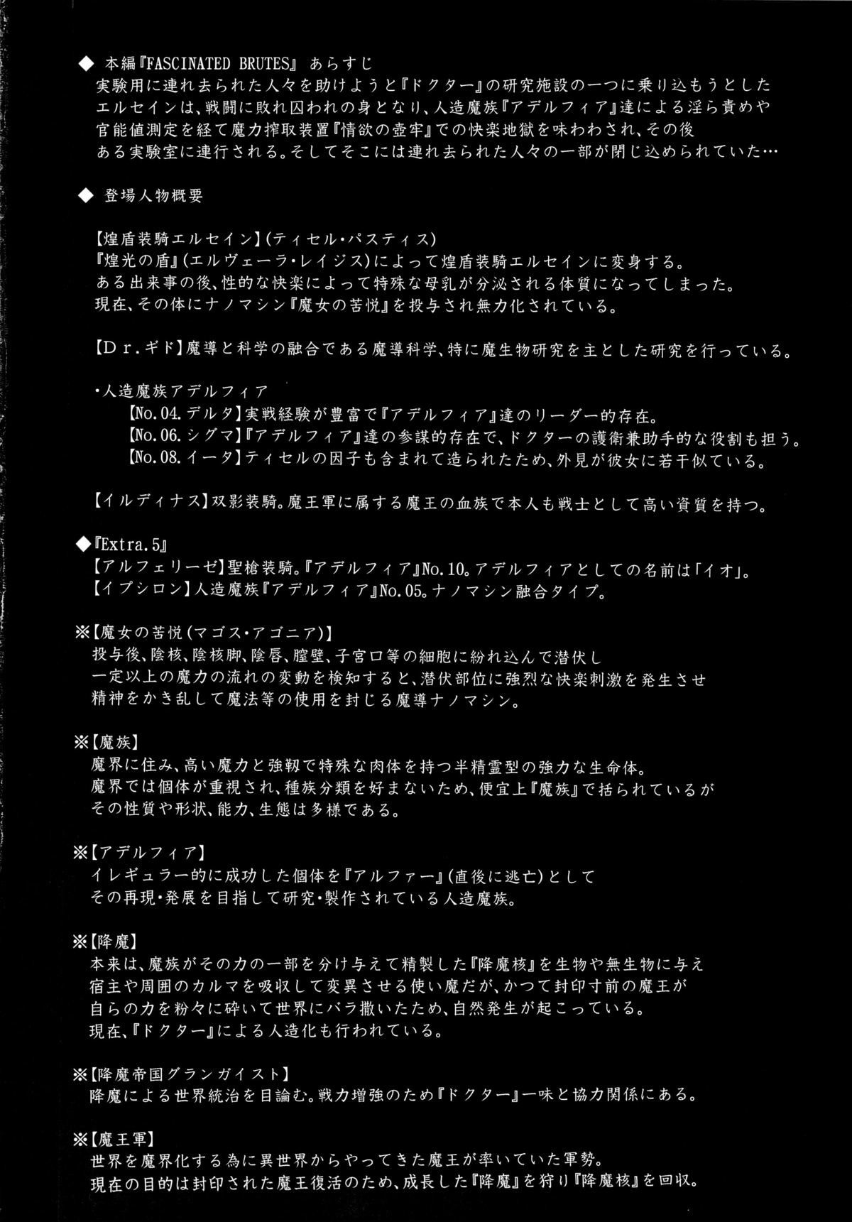 Shield Knight Elsain Vol. 12 NETHER LABORATORY 2 page 3 full