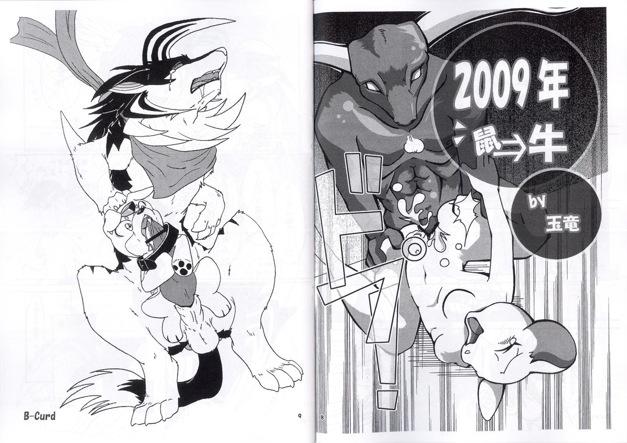 2009 Gashou page 5 full