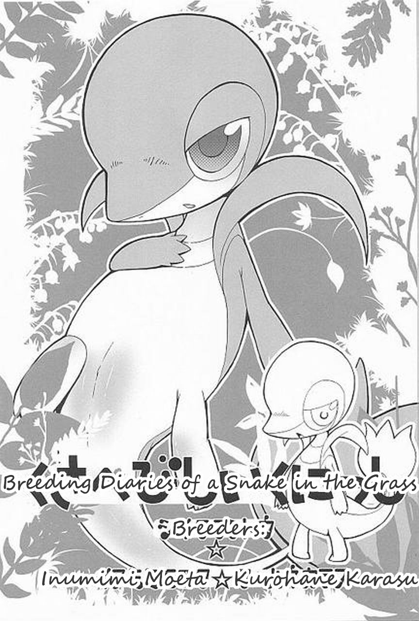 Tsutahebishiiku Nisshi | Breeding Diaries of a Snake in the Grass page 3 full