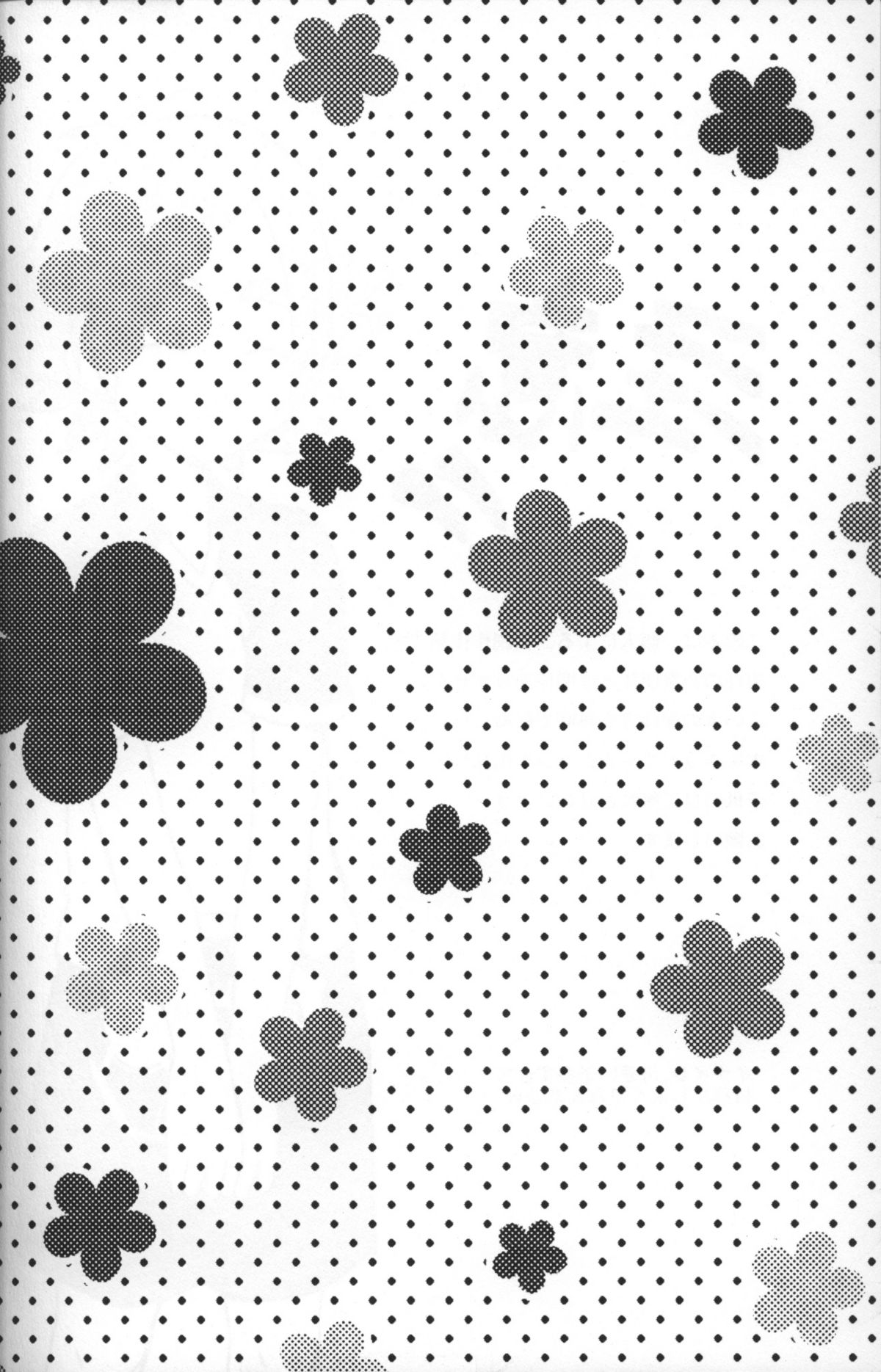 Shiramochi page 3 full