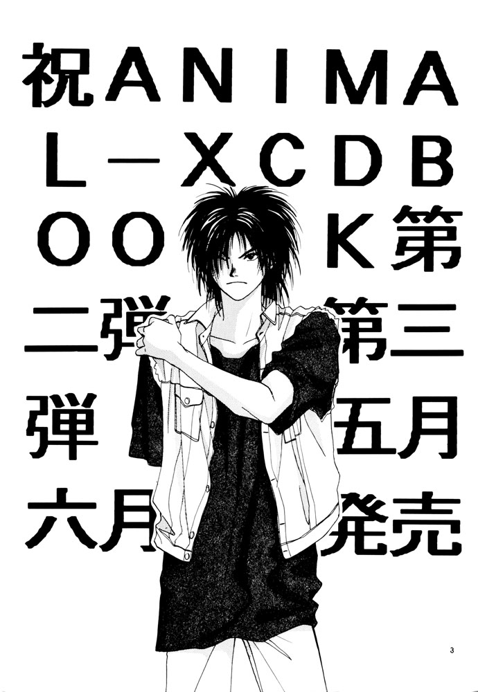 Animal X DJ - Sure of You page 3 full