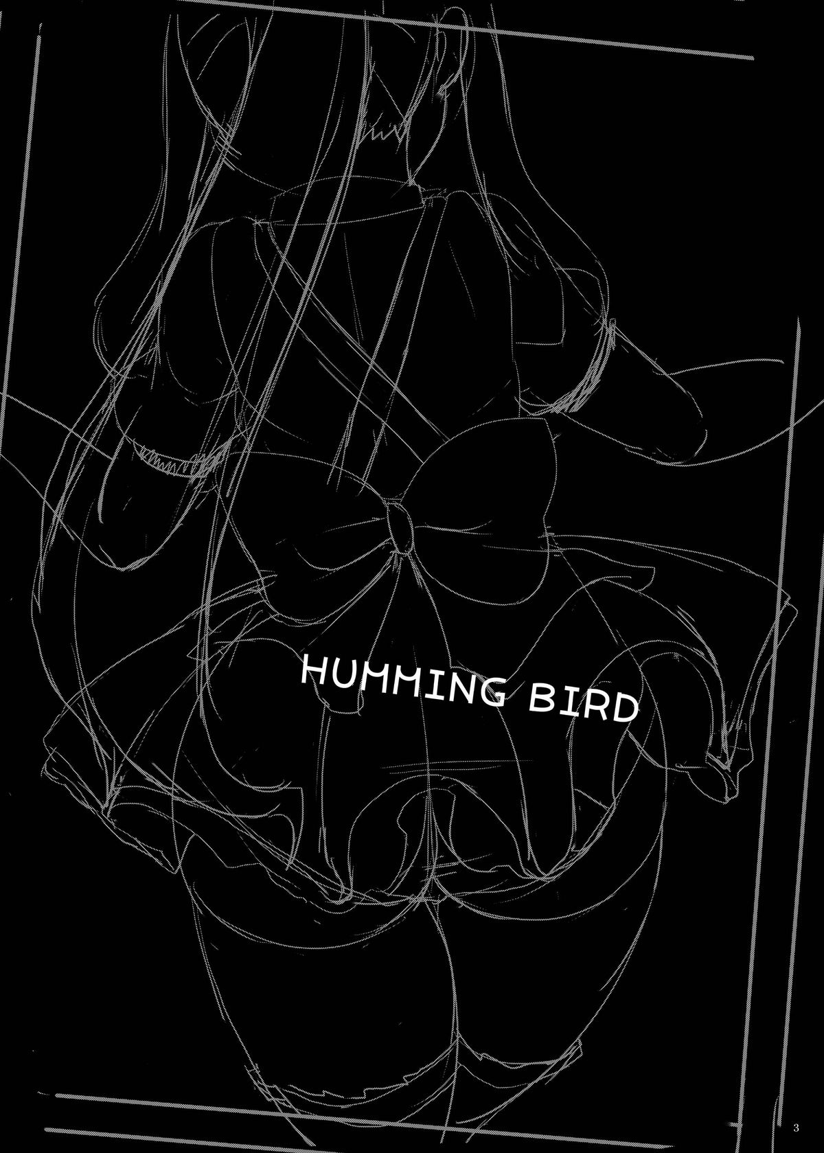 HUMMING BIRD page 3 full