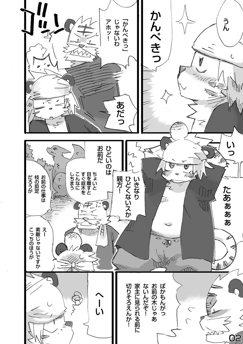 Tora to Tsubaki "Joukan" page 3 full