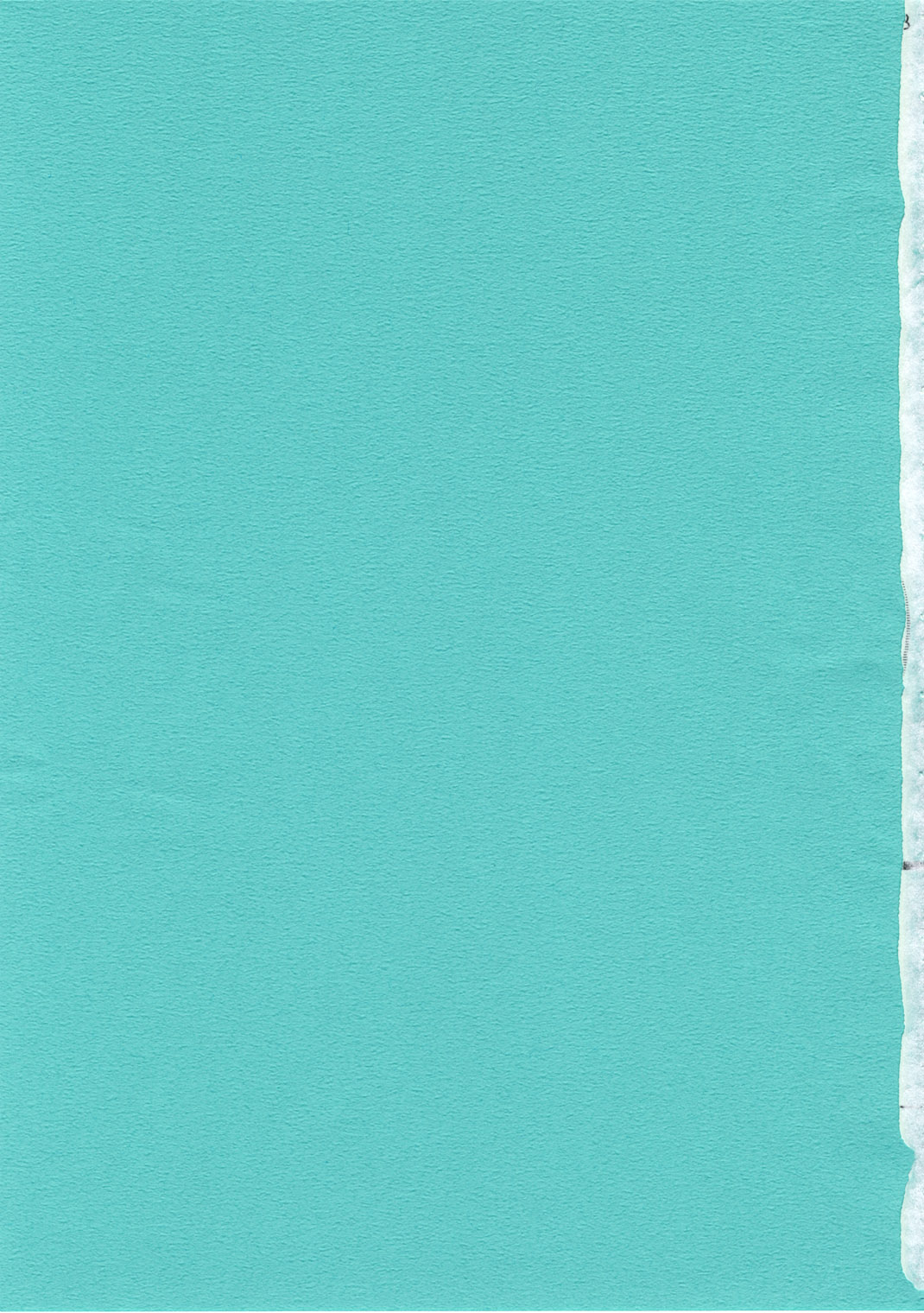 Dog Days, Cat Days page 2 full