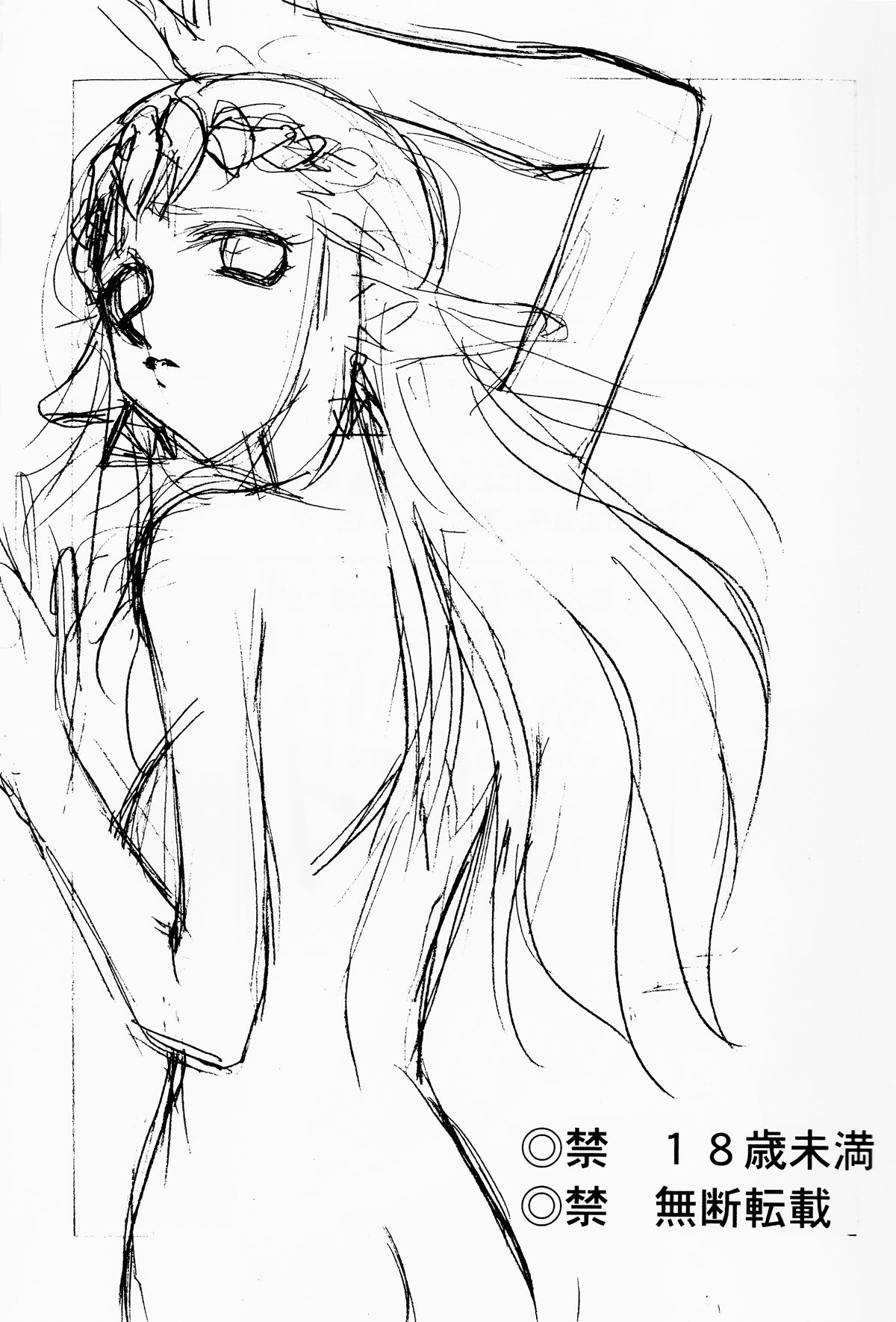 NISE Zelda no Densetsu Shinshou page 2 full