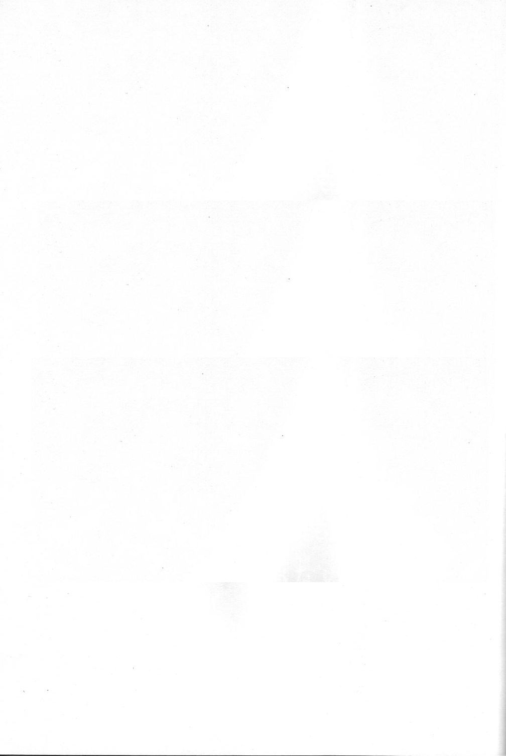 Naruhito page 2 full