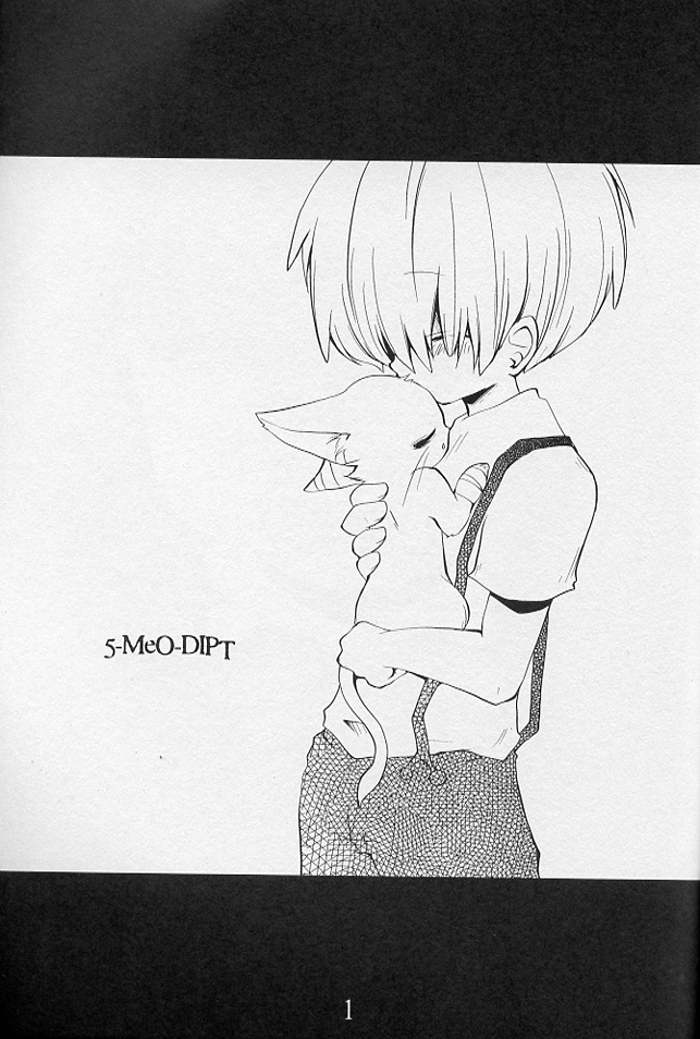 5‐MeO‐DIPT page 3 full