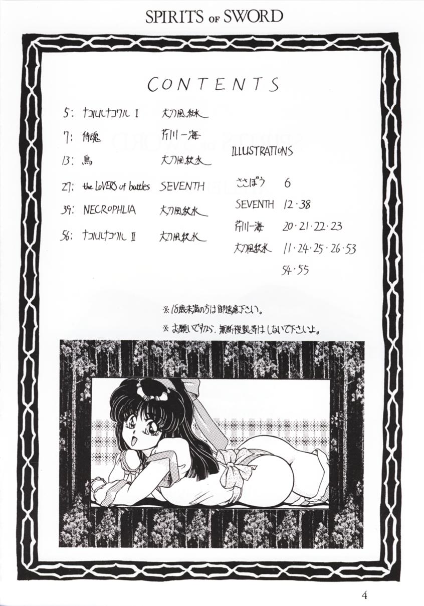 SPIRITS of SWORD page 3 full