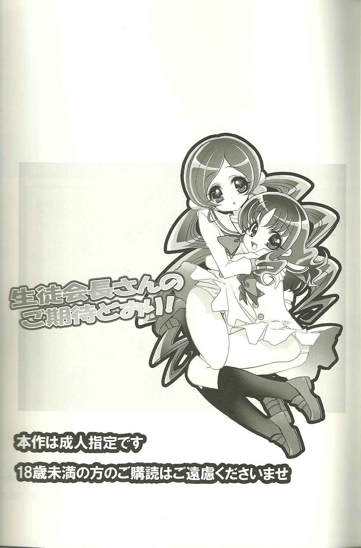 Seitokaichou-san no Gokitai doori! page 2 full