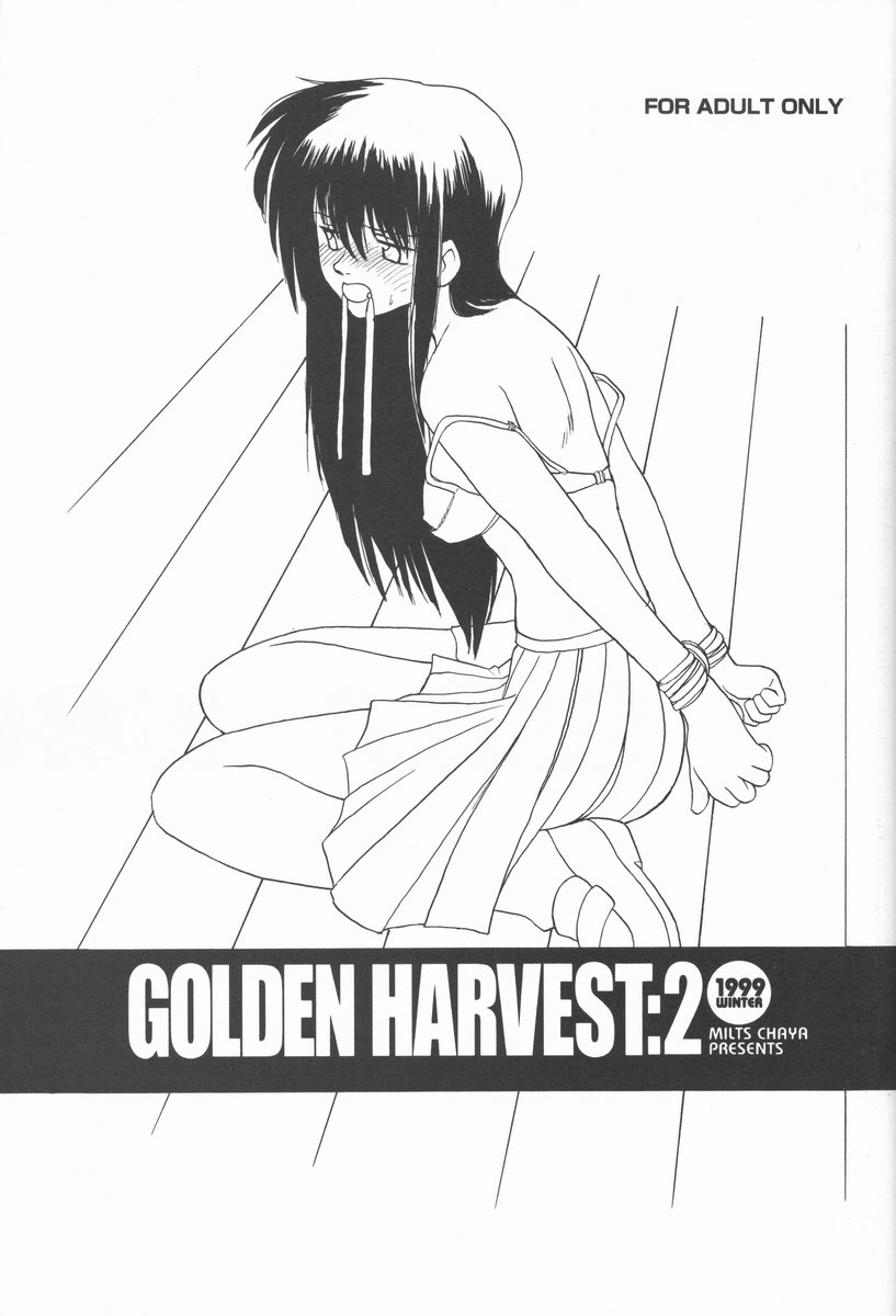 GOLDEN HARVEST 2 page 3 full