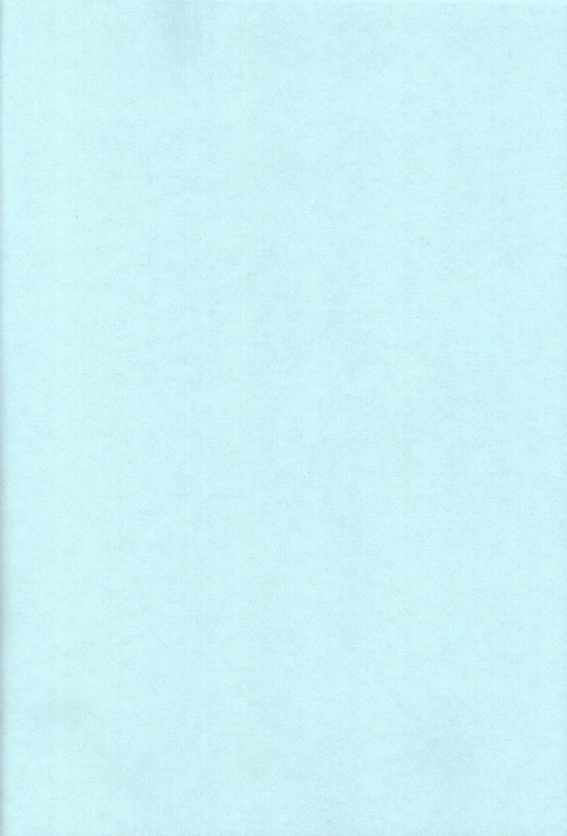 MAiDNESS page 2 full