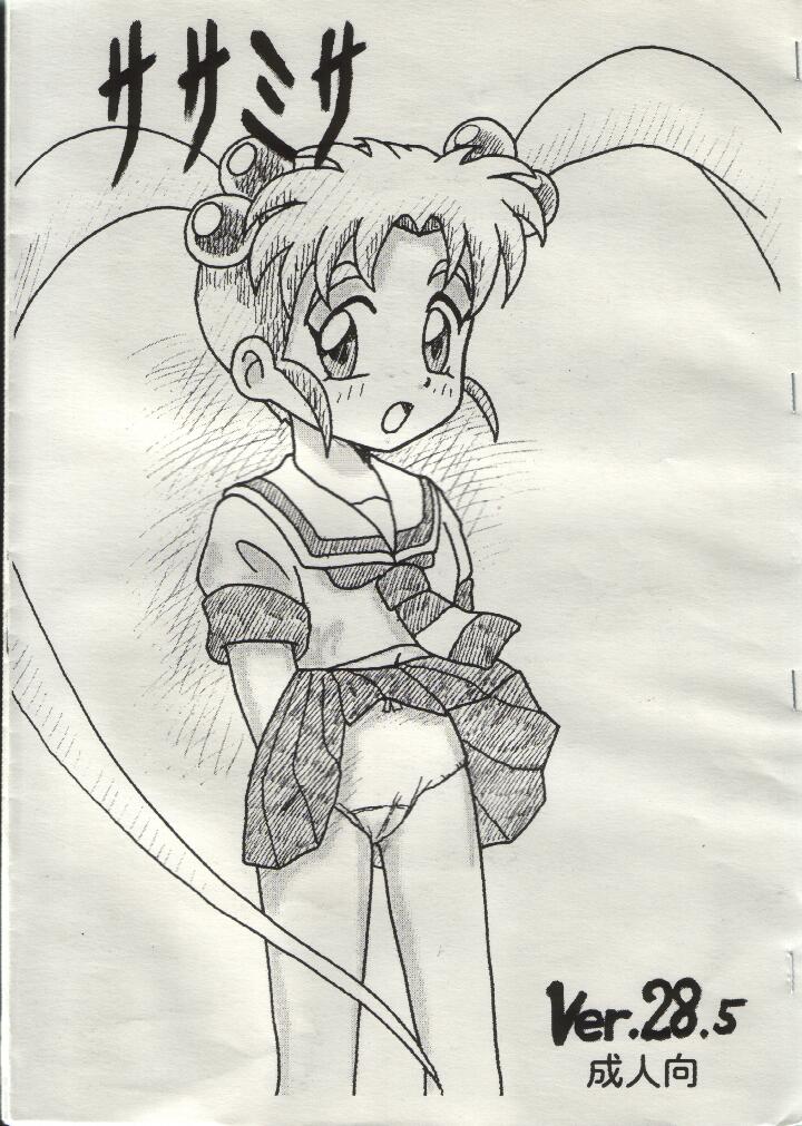 Sasamisa Ver. 28.5 page 1 full