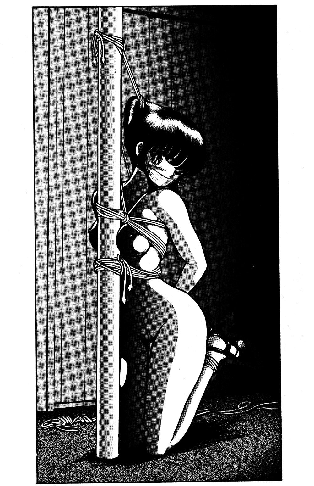 SHARAKU SPECIAL page 8 full