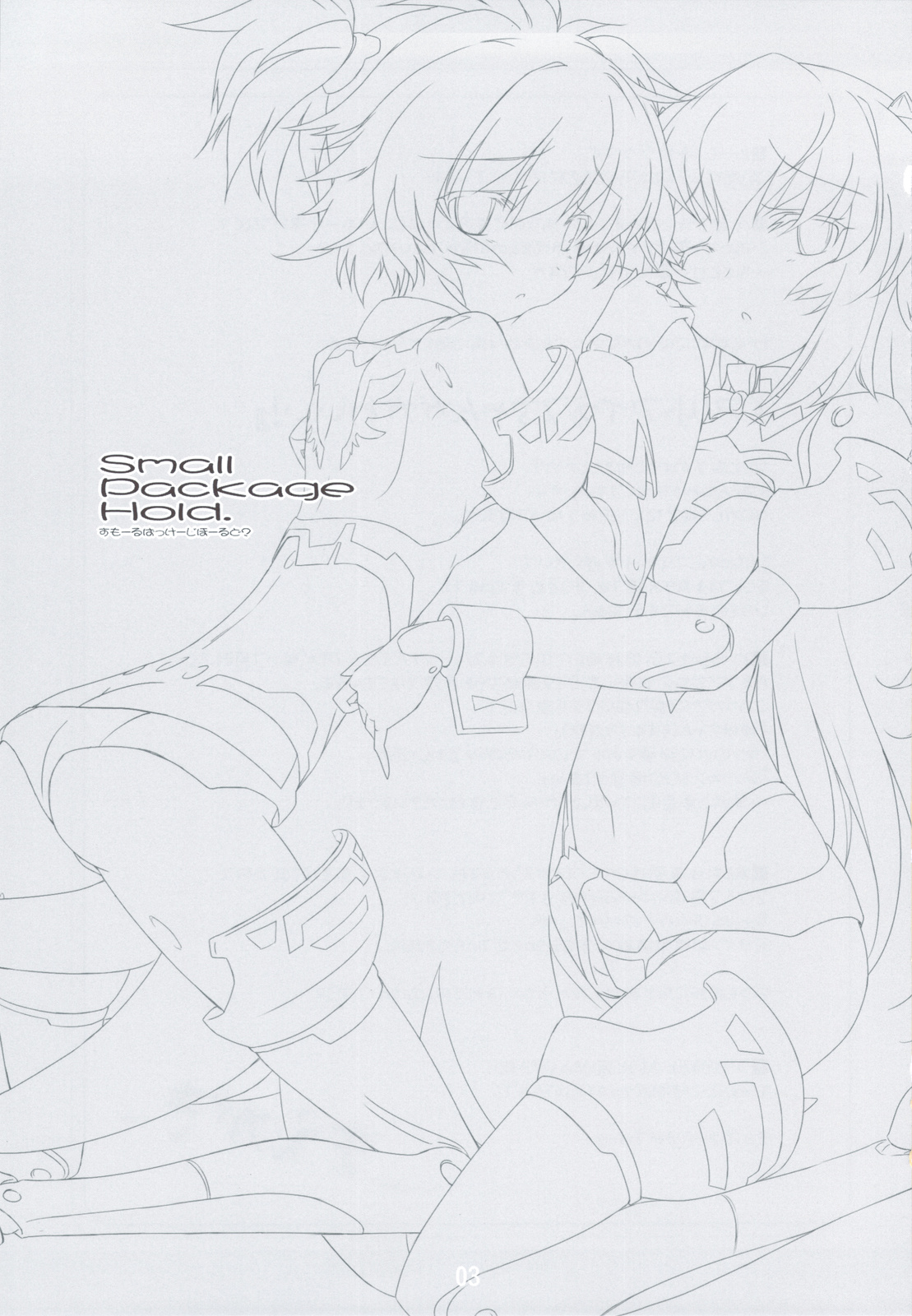 Small Package Hold. page 2 full