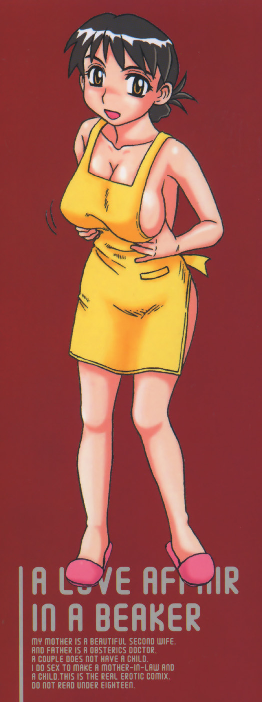 Beaker no Naka no Jouji - A Love Affair in a Beaker page 3 full