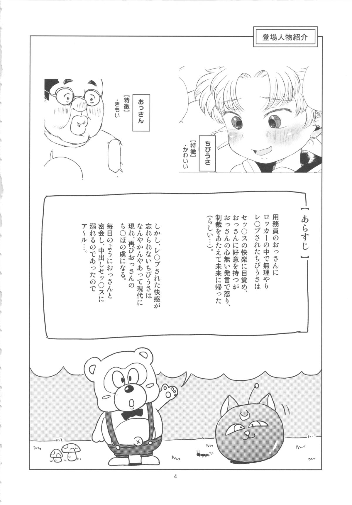Chibiusa no Himitsu Diary page 3 full