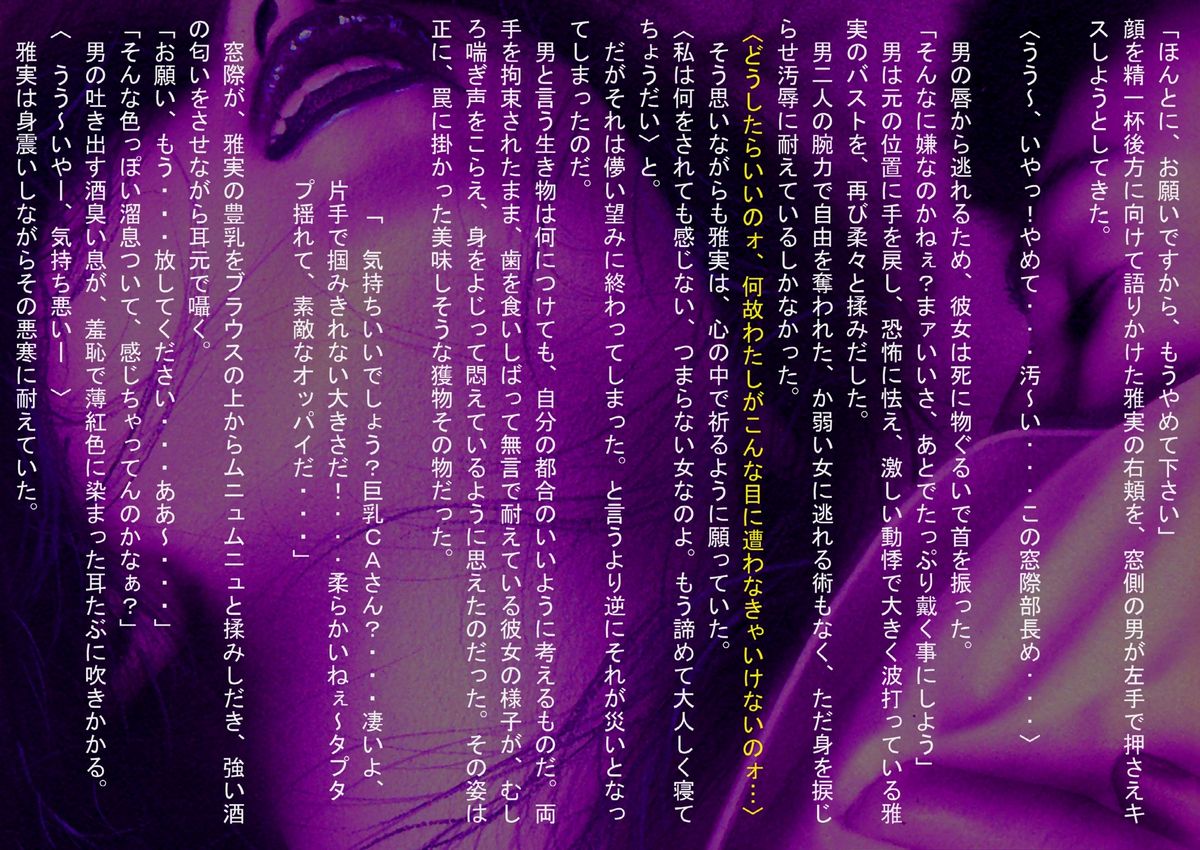 ~ 淫ら絵本- ~ 巨乳CA凌辱 ｢夜姦飛行｣ page 6 full