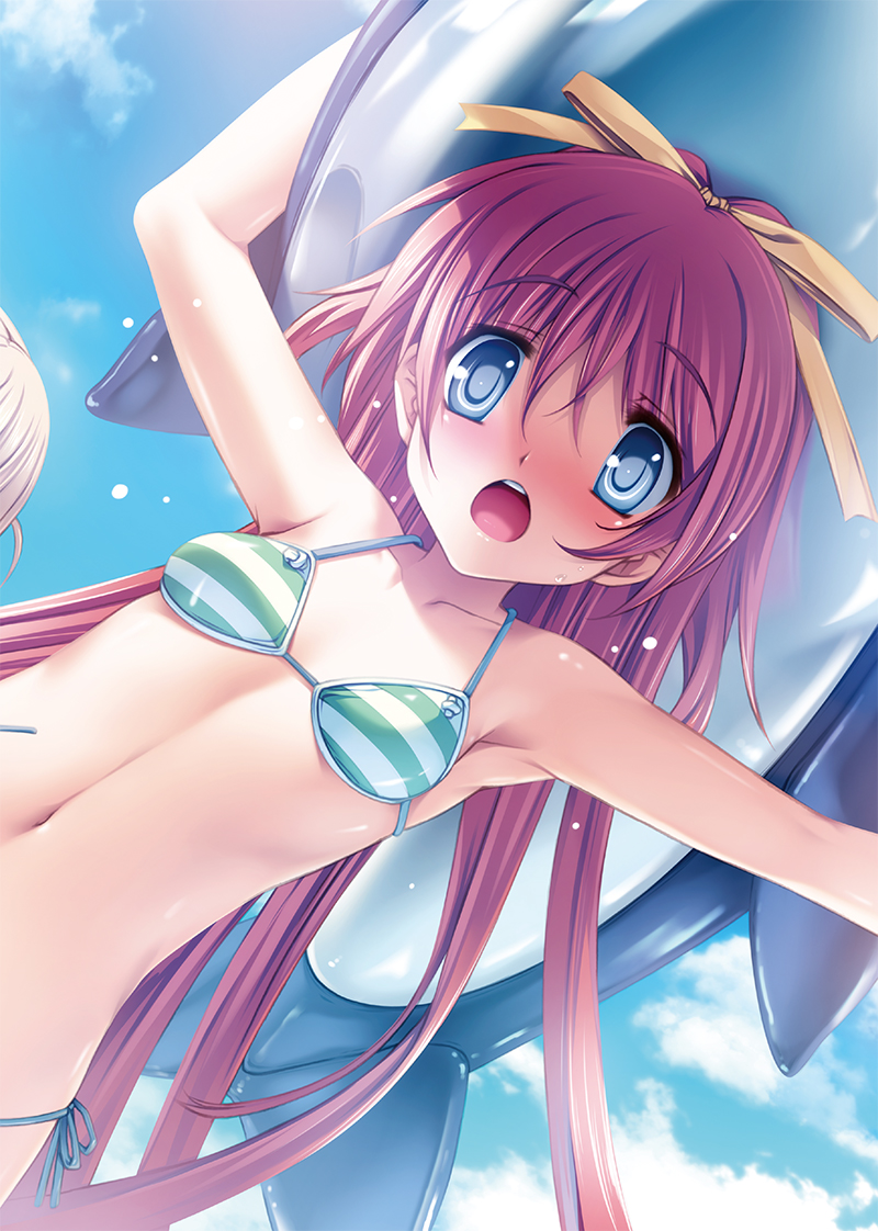 Dolphin Divers  Preview Visual Fanbook page 3 full