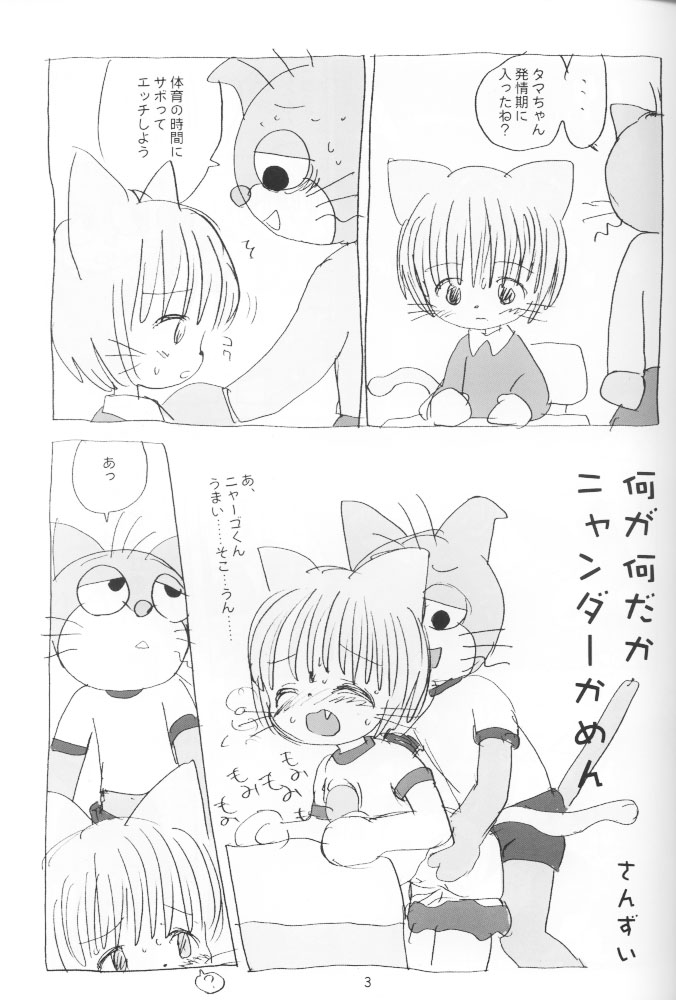 Tent de Nyanda Raper page 2 full