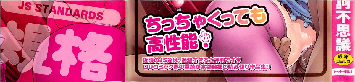 JS Kikaku - JS Standards page 3 full