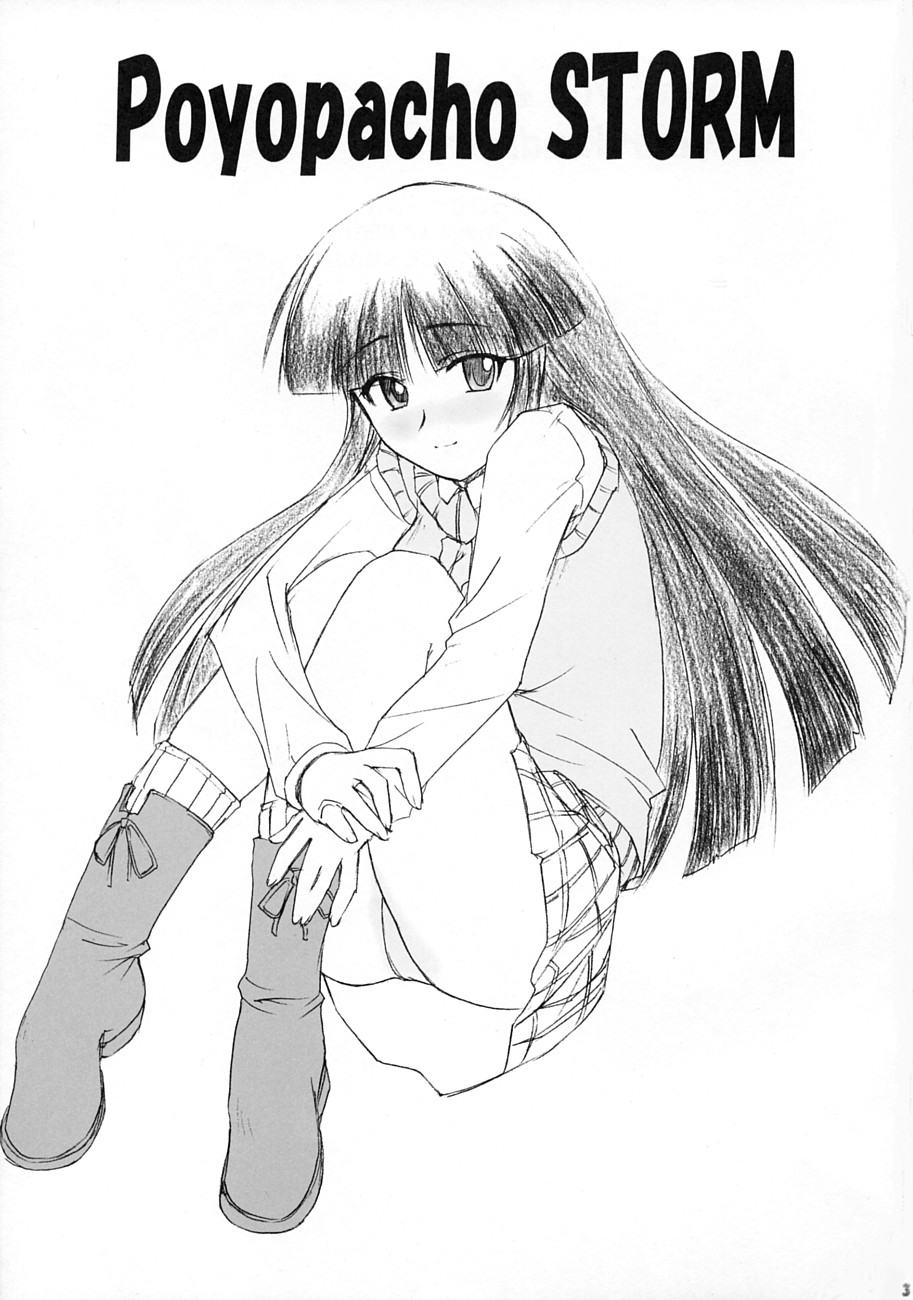 Poyopacho STORM page 3 full