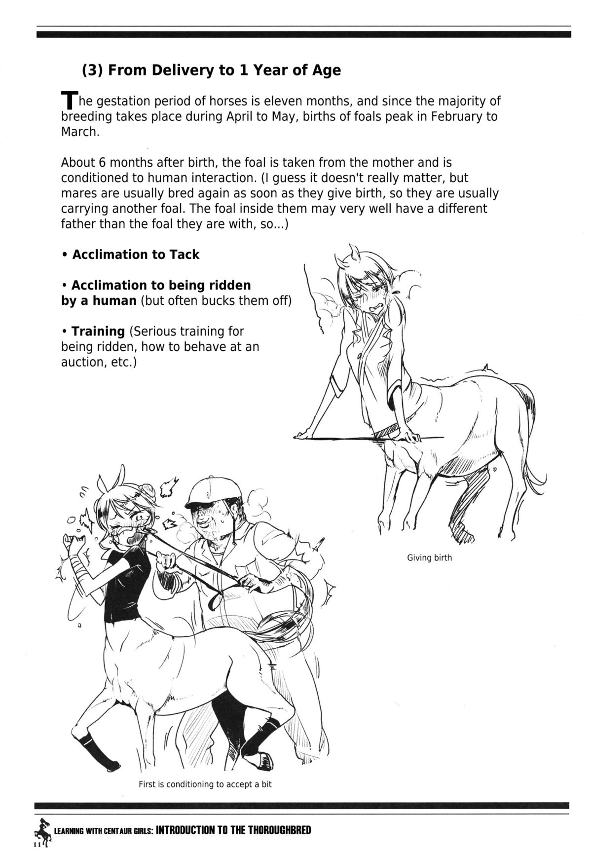 Centaur Musume de Manabu Hajimete no Thoroughbred | Learning With Centaur Girls: Introduction To The Thoroughbred page 10 full