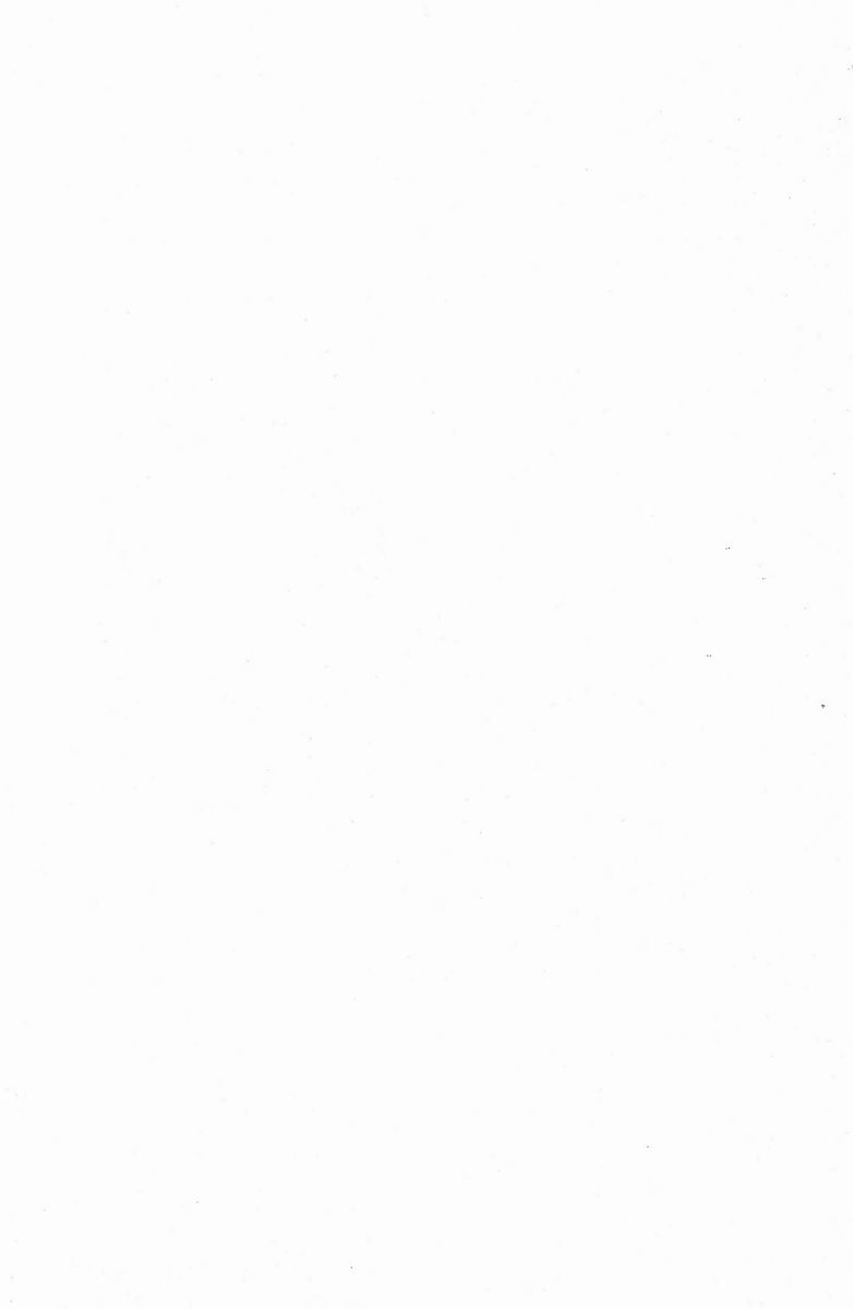 Ikari Shinji Mesu Shiri Keikaku page 2 full