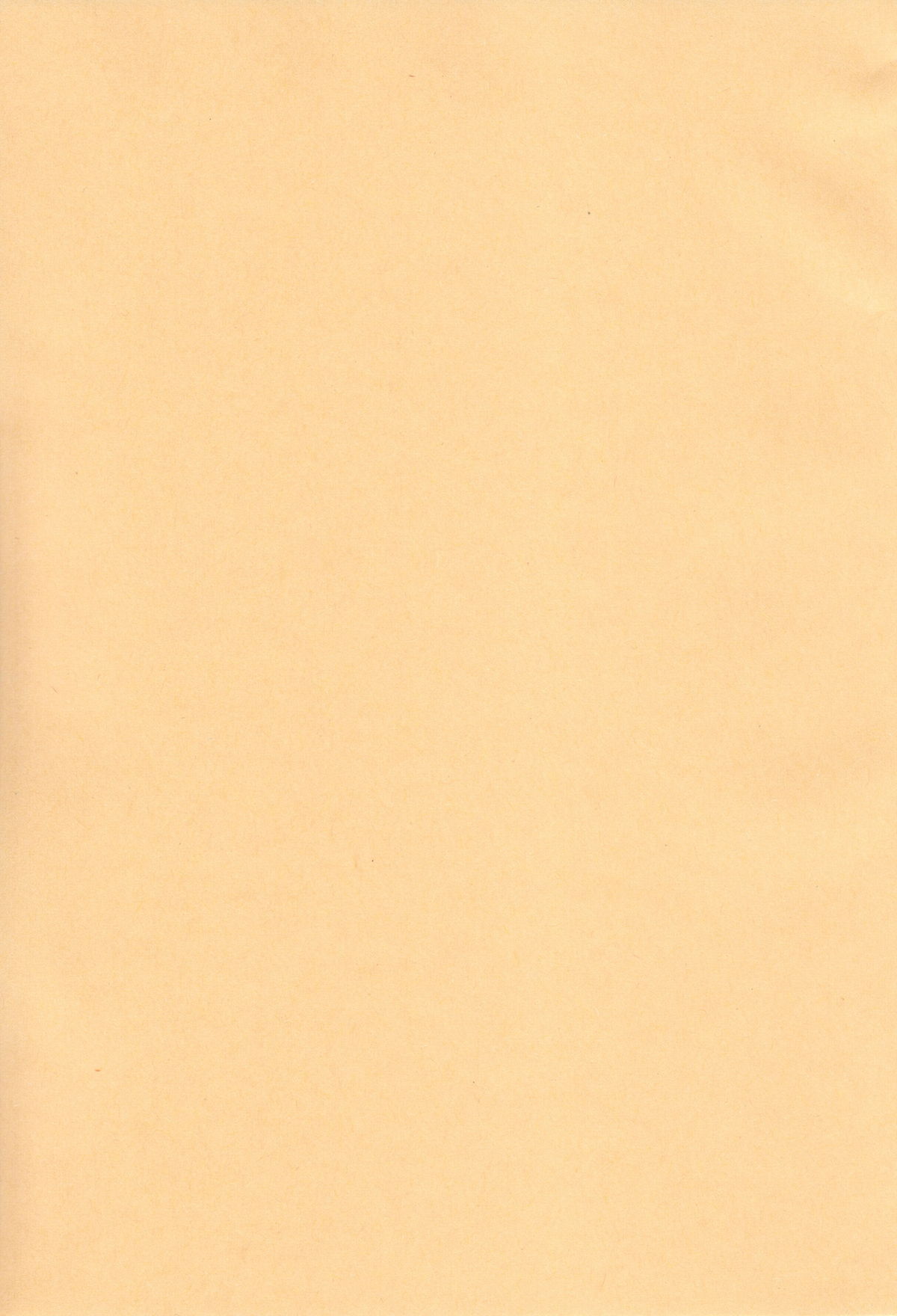 Chicken Maid Party page 4 full