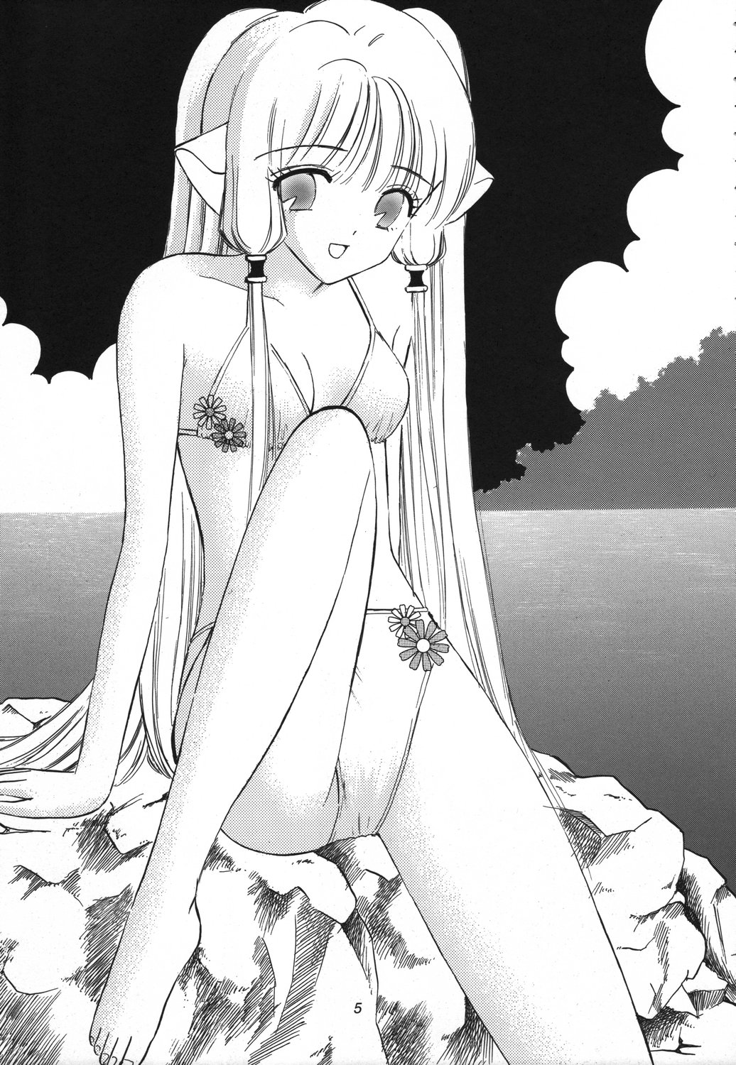 Memory Chips page 5 full