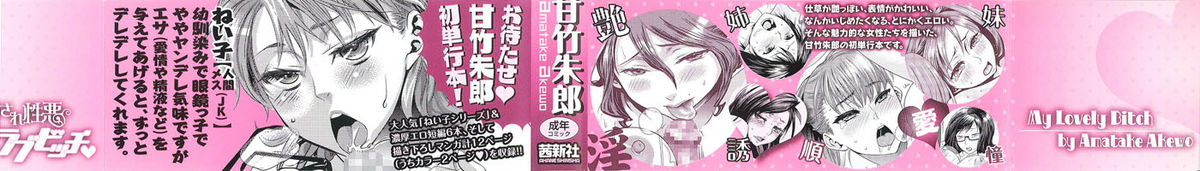 Aisare Shouwaru Love Bitch - My Lovely Bitch page 3 full