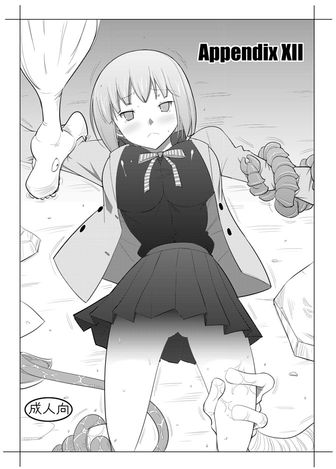 APPENDIX XII page 1 full