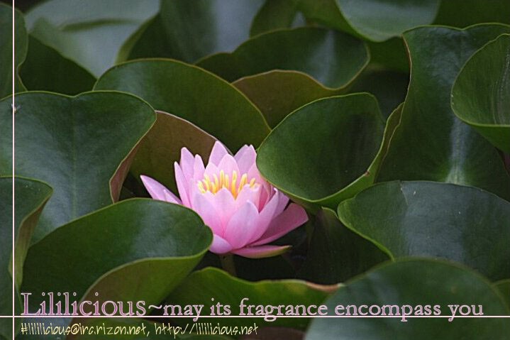 First Complex page 7 full