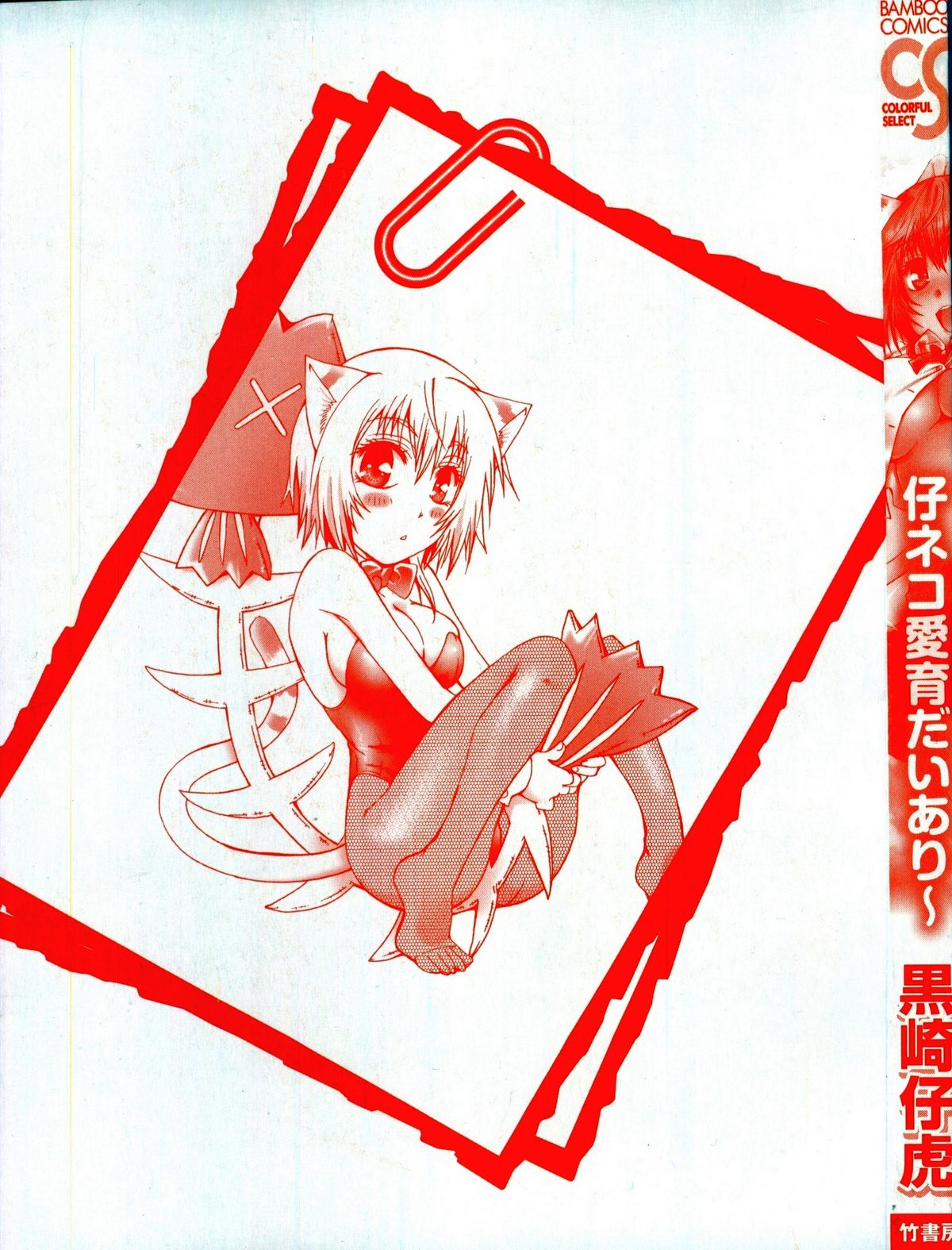 Koneko Aiiku Diary page 3 full