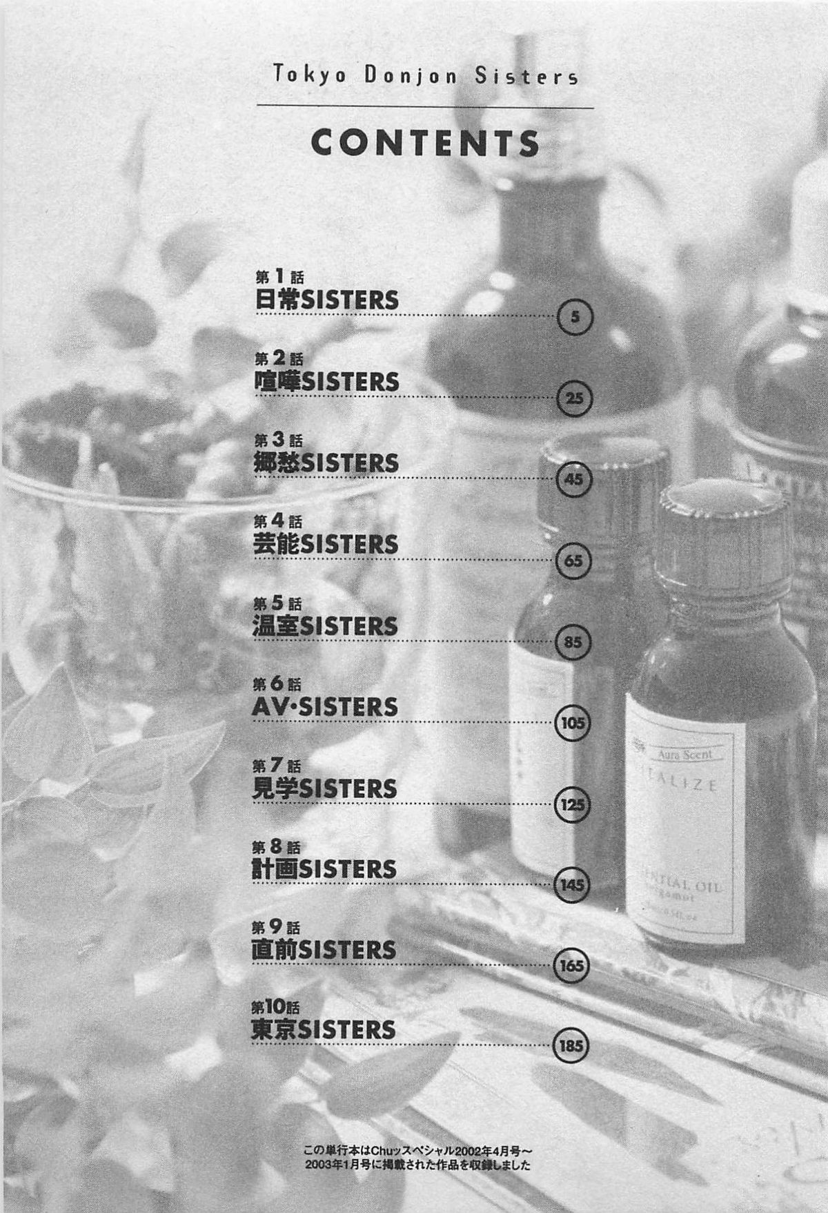 Tokyo Donjon Sisters page 7 full