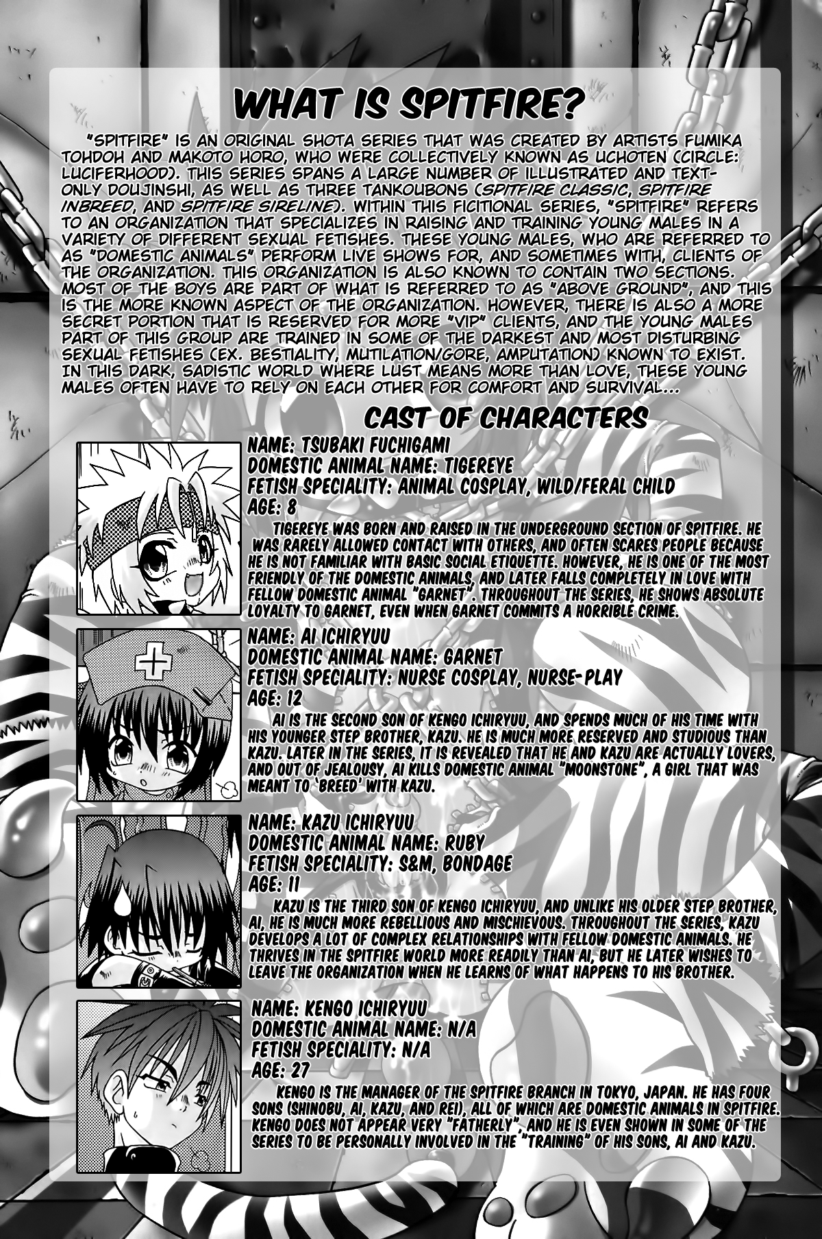 Spitfire Gaiden - Pink Pepper page 2 full