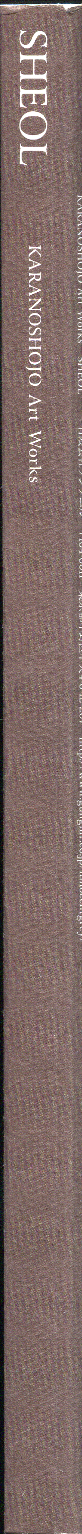 SHEOL KARANOSHOJO Art Work page 3 full