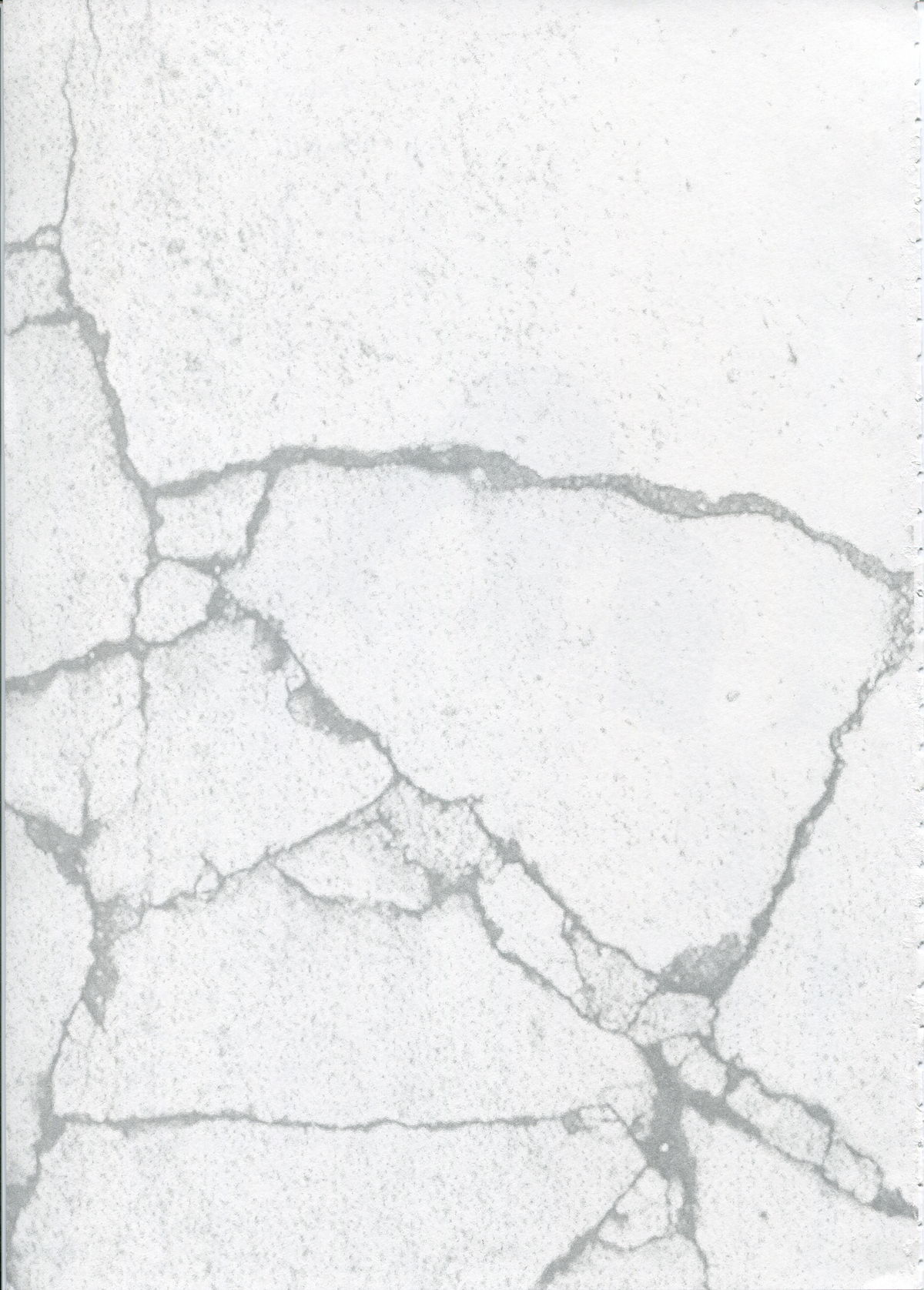 SHEOL KARANOSHOJO Art Work page 5 full